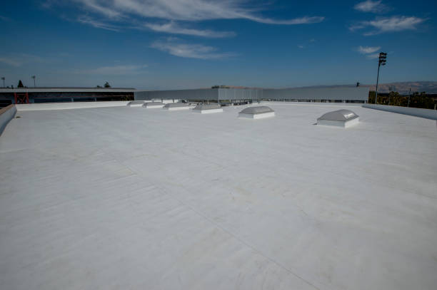Skylights in Johnsonville, SC