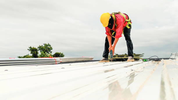 Best Solar Panel Roofing Installation  in Johnsonville, SC
