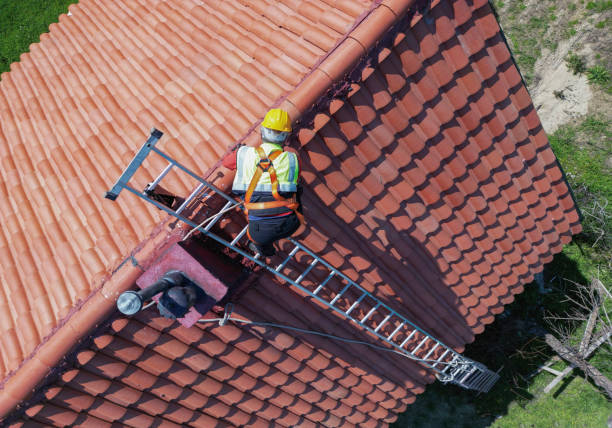 Best Asphalt Shingles Roofing  in Johnsonville, SC