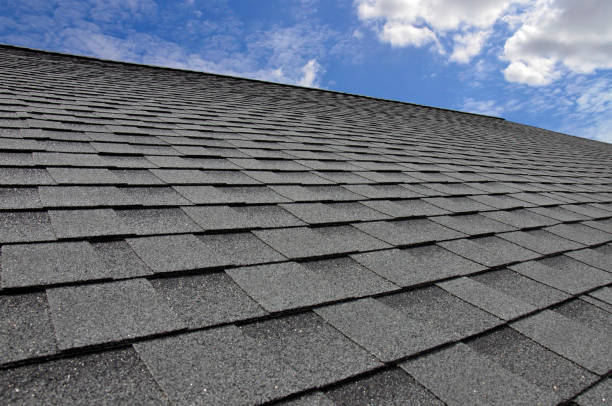 Best Skylight Installation and Repair  in Johnsonville, SC